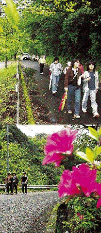 【2021年中止】いりきファミリーハイキング