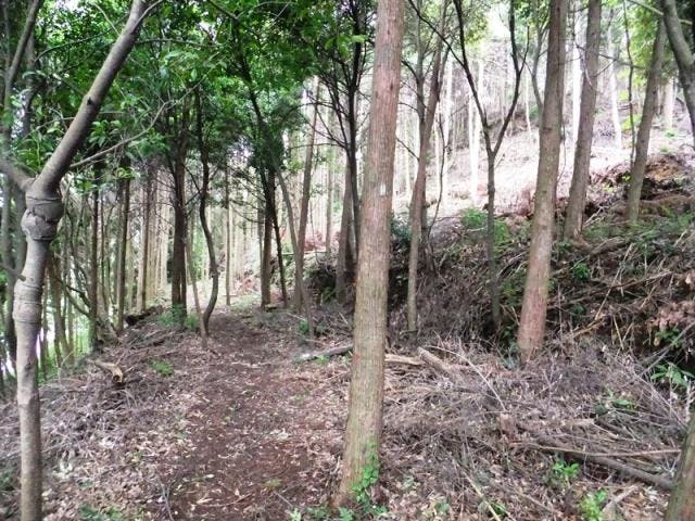 川上中学校と川沿いの遊歩道