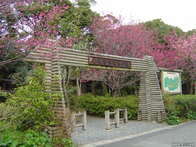 奄美自然観察の森