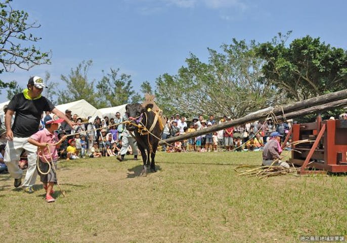 【日程調整中】黒糖まつり