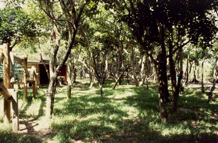 米原キャンプ場