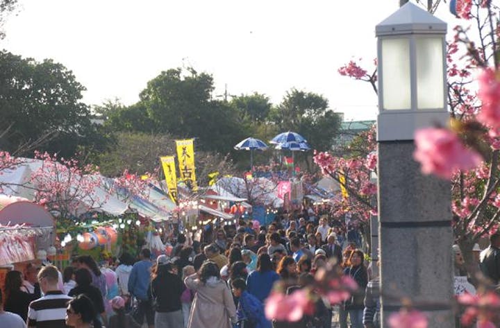 【2021年開催中止】名護さくら祭り