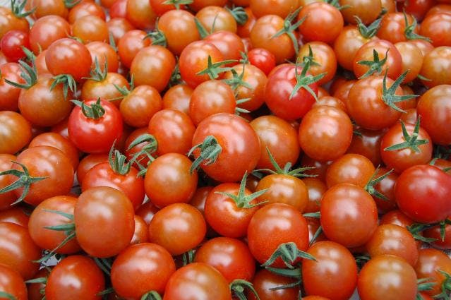 ちゅらとまと」・「ミニとまと姫」【アソビュー！】