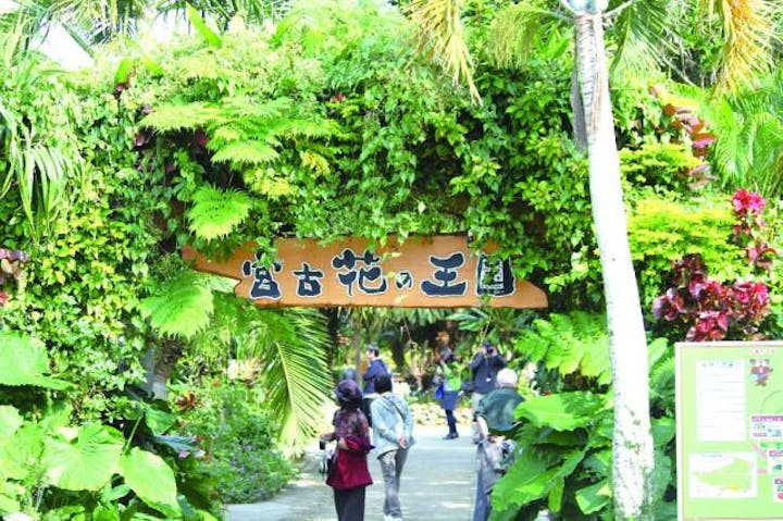 宮古島市熱帯植物園