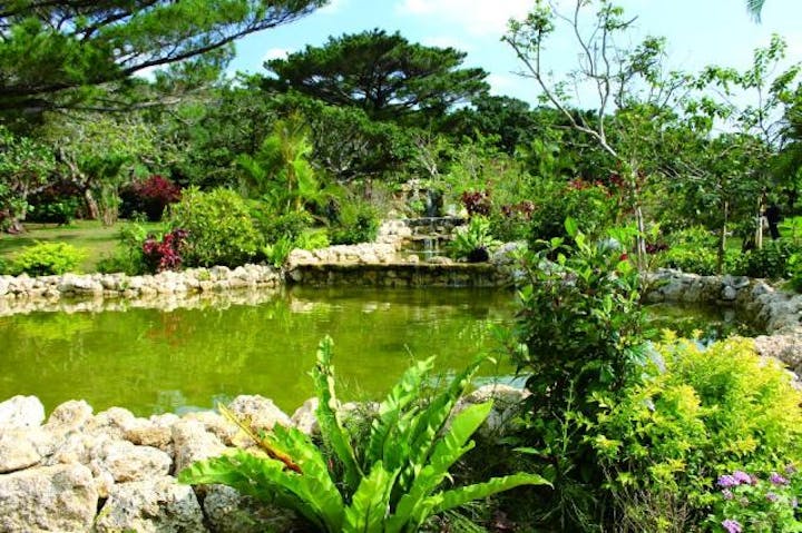 宮古島市熱帯植物園 アソビュー