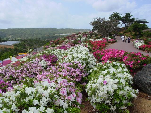 村民の森のツツジ園