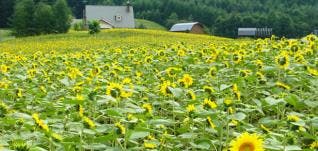 スポットの写真