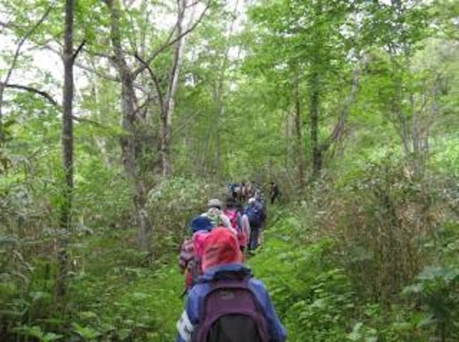 音江連山（沖里河山・無名山・音江山）