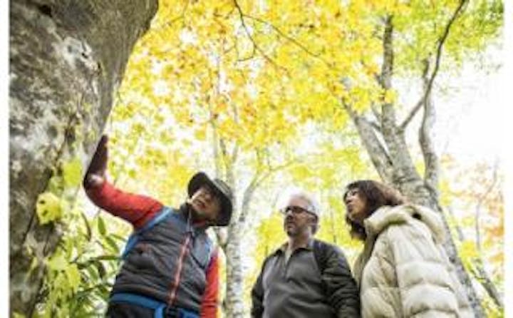 四季のブナ林ガイドウォーク