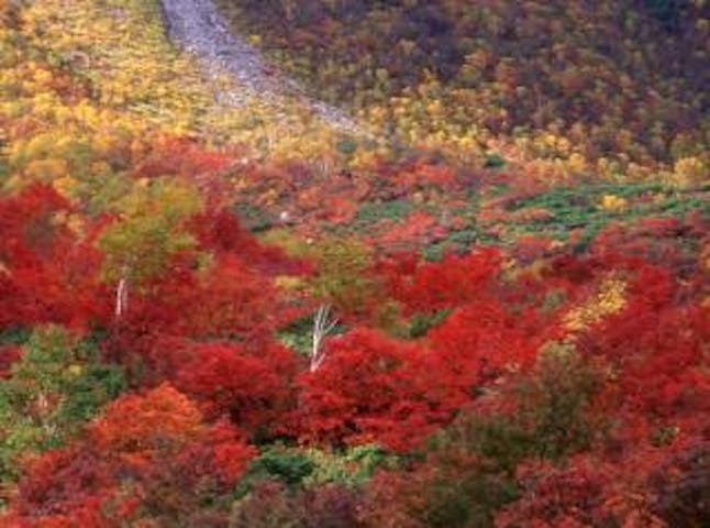 イワオヌプリの紅葉