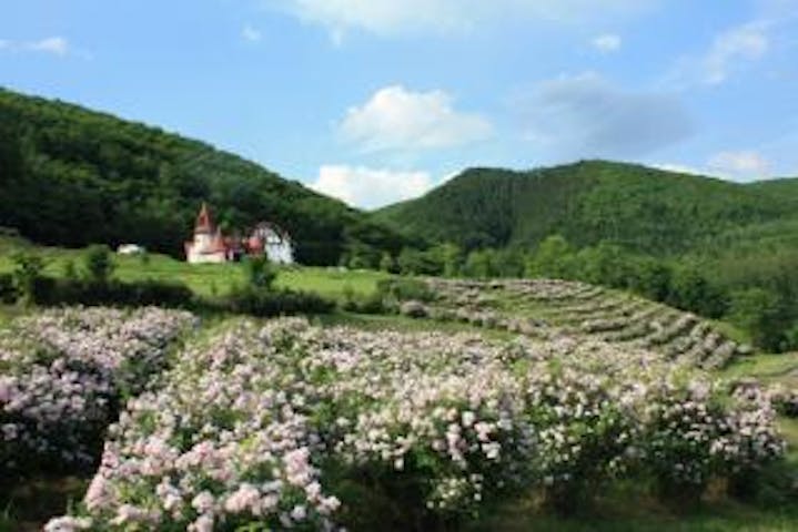 香りの里ハーブガーデン