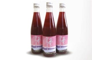 スポットの写真