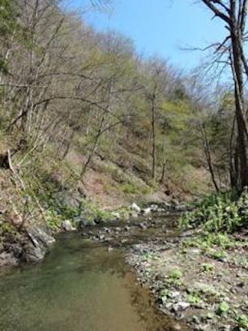 サンゴ渓谷ウォーキングコース