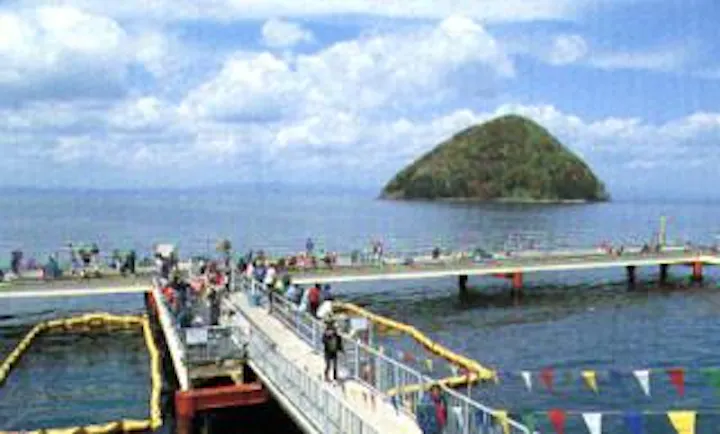 青森市浅虫海づり公園 アソビュー