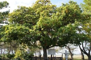 スポットの写真