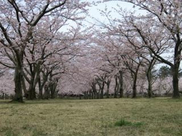 つがる市春まつり