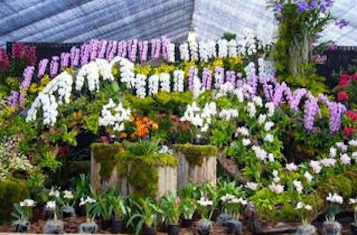 夜越山洋ランまつり