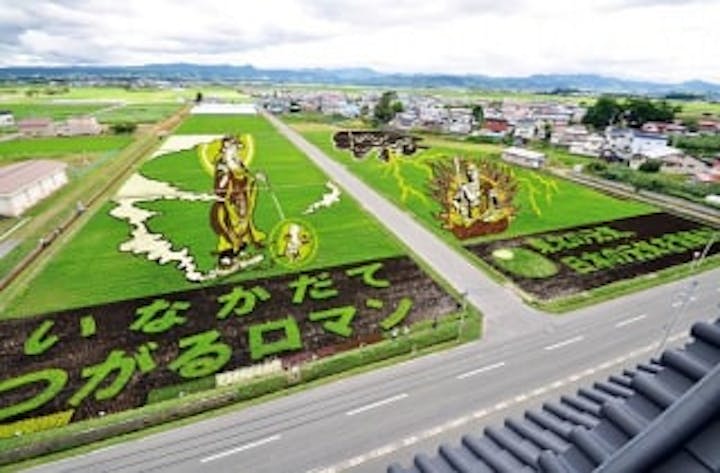 【2021年度中止】田舎館村　田植え体験ツアー