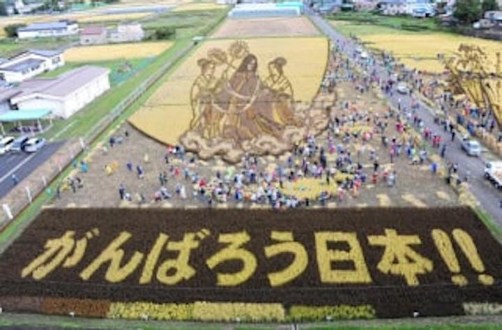 【2021年度中止】田舎館村　稲刈り体験ツアー