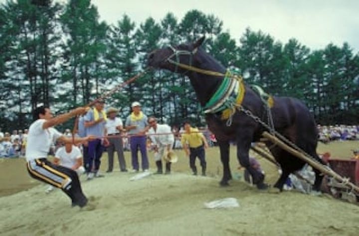 【2021年春開催中止】東北馬力七戸大会