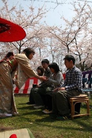 東北町桜まつり