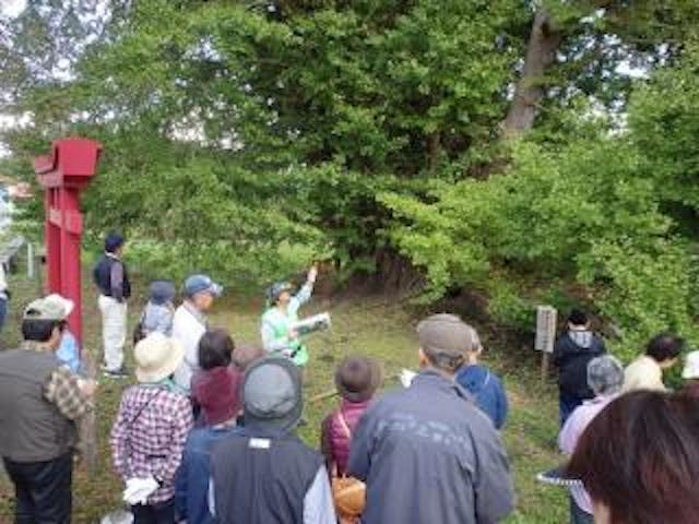 階上町巨木めぐり