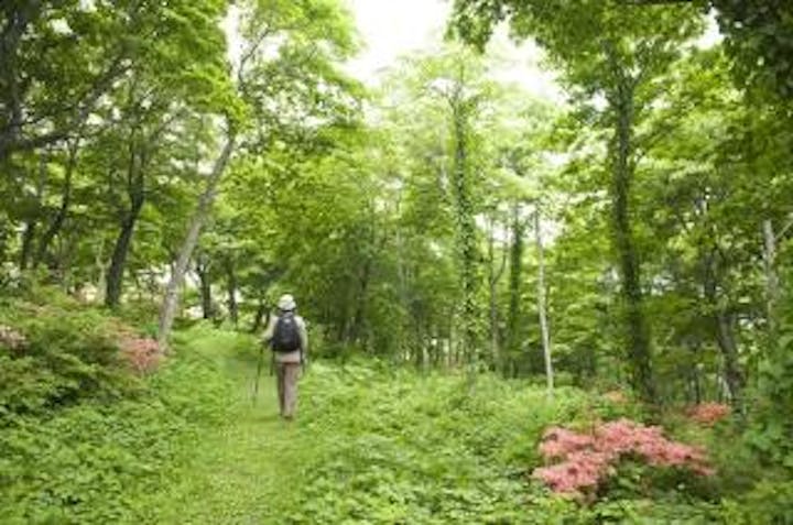 階上岳トレッキングコース