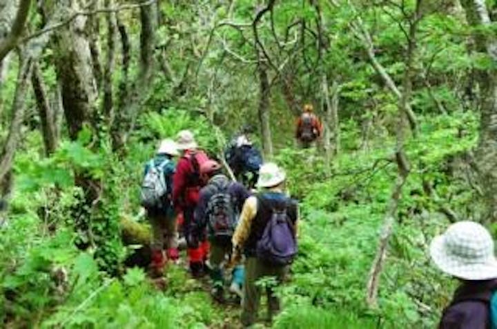 夏の登山（牛形山）