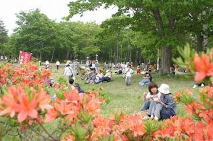 平庭高原つつじまつり（岩手県久慈市）