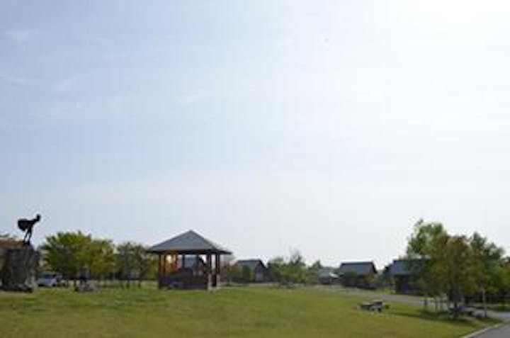 種山高原星座の森