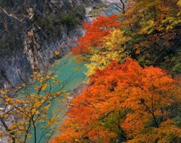 葛根田渓谷の紅葉