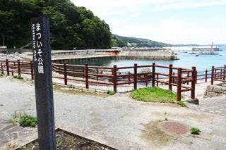 スポットの写真