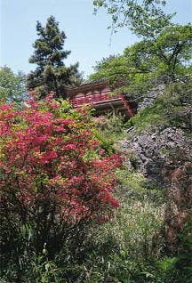 スポットの写真