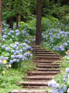 スポットの写真