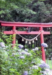 スポットの写真