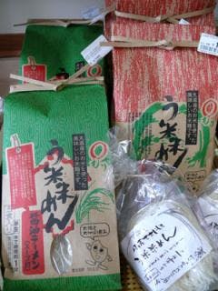 スポットの写真