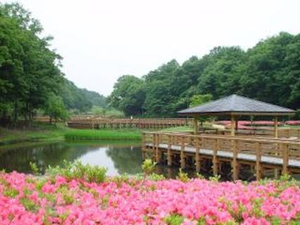 大衡中央公園 アソビュー