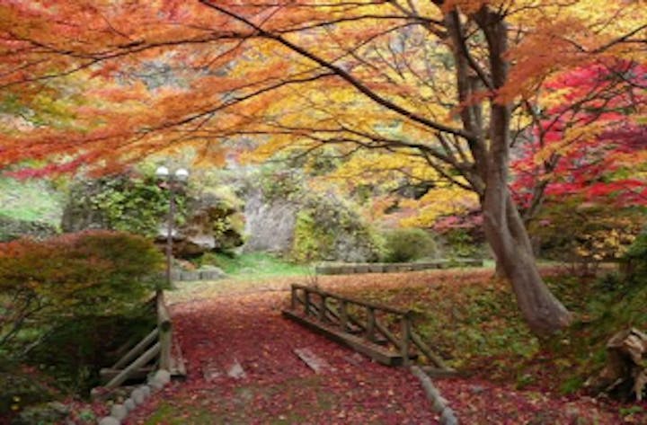 きみまち阪紅葉まつり