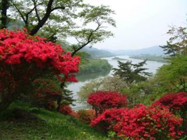 きみまち阪つつじまつり