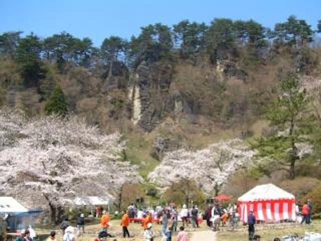 きみまち阪桜まつり