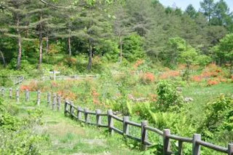 白木峠ハイキングコース アソビュー