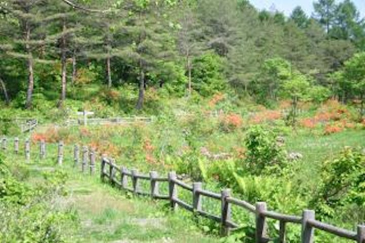 鍛冶台いこいの森ハイキングコース