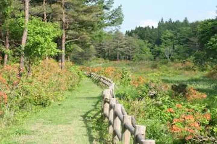 鍛冶台いこいの森ハイキングコース アソビュー