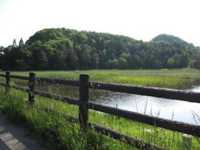 芝谷地湿原植物群落