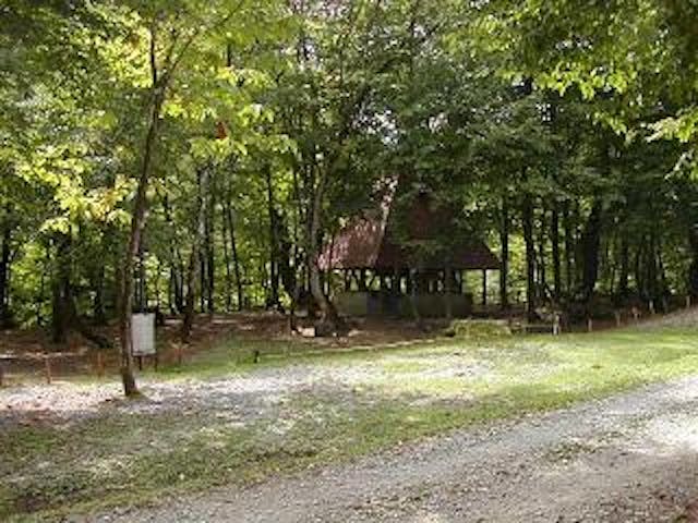 からみないキャンプ場