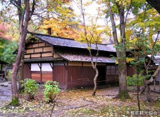 スポットの写真