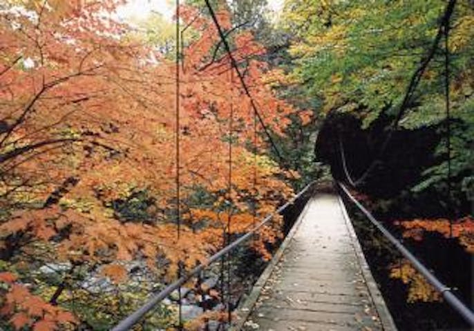 大平渓谷の紅葉