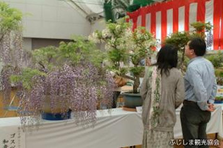【2021年中止】ふじの花まつり