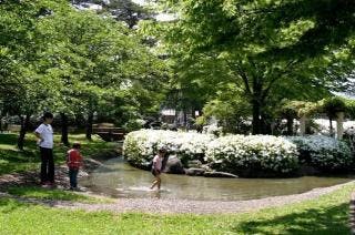 スポットの写真