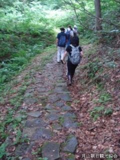 スポットの写真